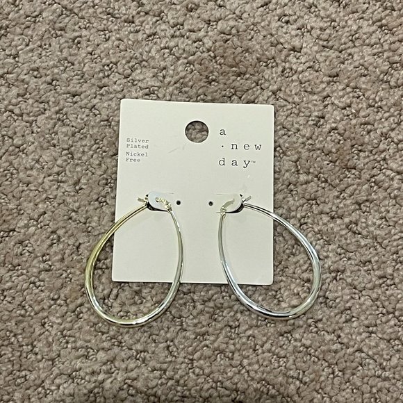Silver Earrings - Picture 1 of 1